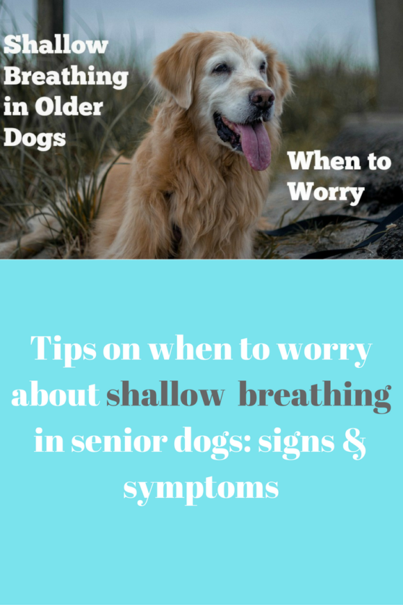 the-dangers-of-shallow-breathing